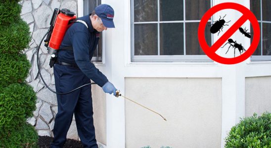 Çatalca Bit İlaçlama böcek ilaçlama ve haşere kontrolü — ilaclama-tr.com